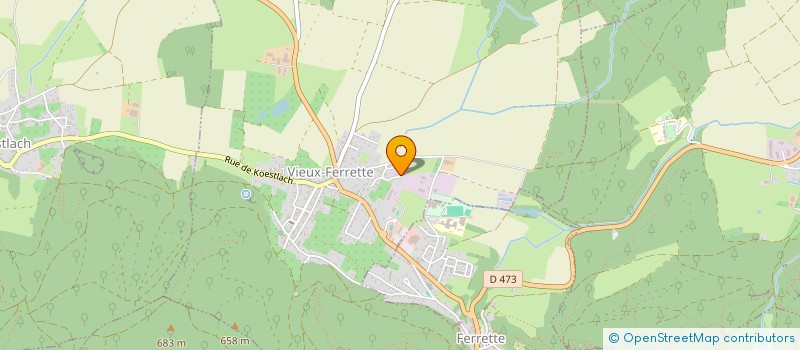 localisation de l'entreprise PICTURAL THINGS  VIEUX-FERRETTE