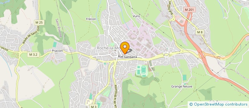 localisation de l'entreprise PIEDS TONS  ROCHE-LA-MOLIERE