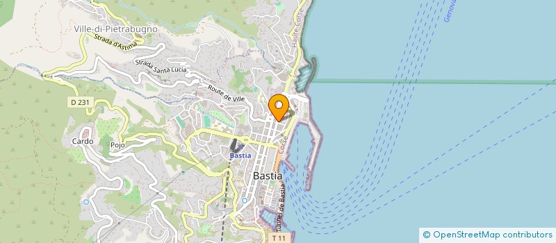 localisation de l'entreprise PIERRES ET TRADIT CONSTRUCTION à BASTIA