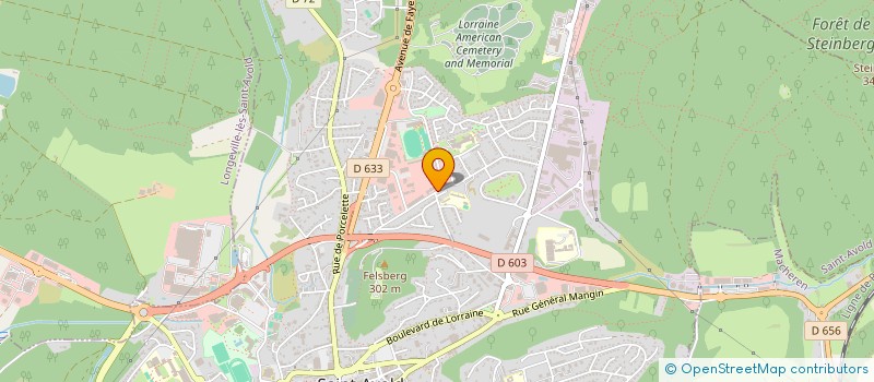 localisation de l'entreprise PIGEON CLUB DU BASSIN HOUILLER DE LORRAINE  SAINT-AVOLD