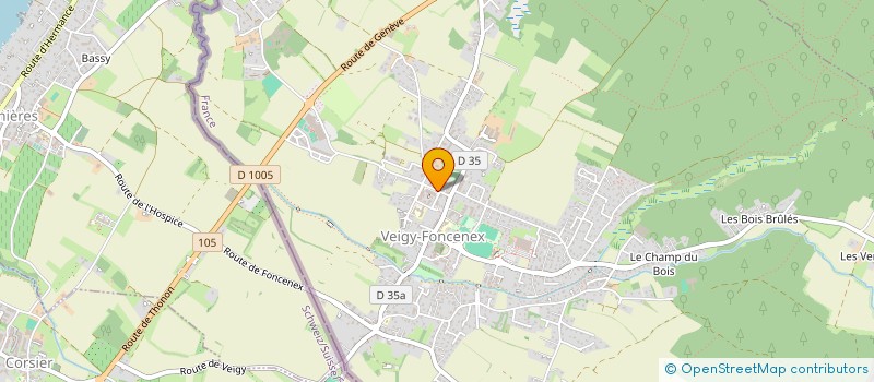 localisation de l'entreprise PIN PAN SARL  VEIGY-FONCENEX