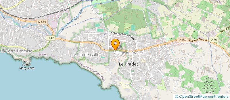 localisation de l'entreprise PINEAU  LE PRADET