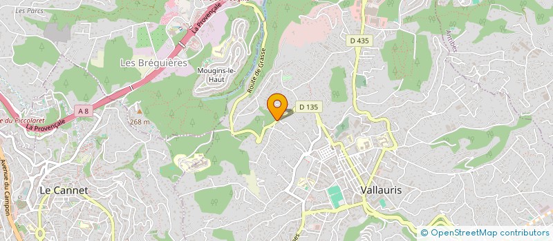 localisation de l'entreprise PINEDE CONSULTING à VALLAURIS