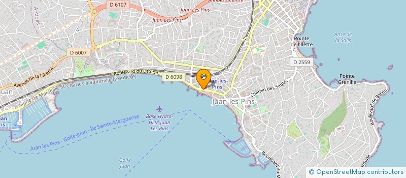 localisation de l'entreprise PINGO.SAV à ANTIBES