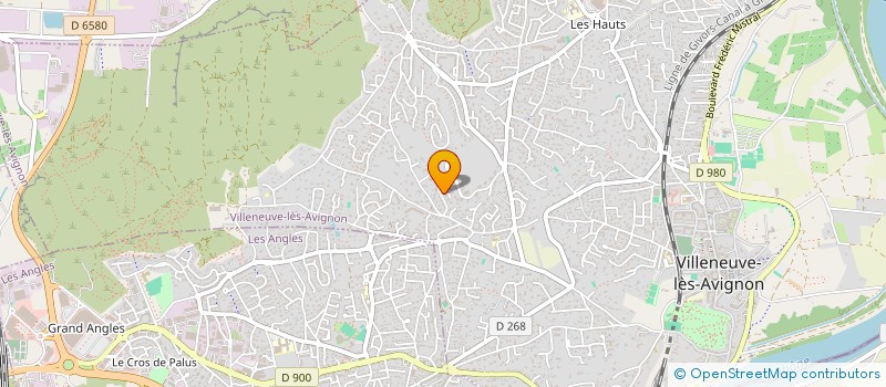 localisation de l'entreprise PINGOUIN  VILLENEUVE-LES-AVIGNON