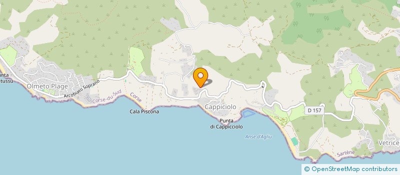 localisation de l'entreprise PINSCHINA HOLDING  OLMETO