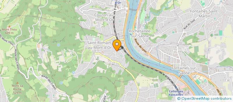 localisation de l'entreprise PISCINES CONSTRUCTION SERVICES  SAINT-ROMAIN-AU-MONT-D'OR