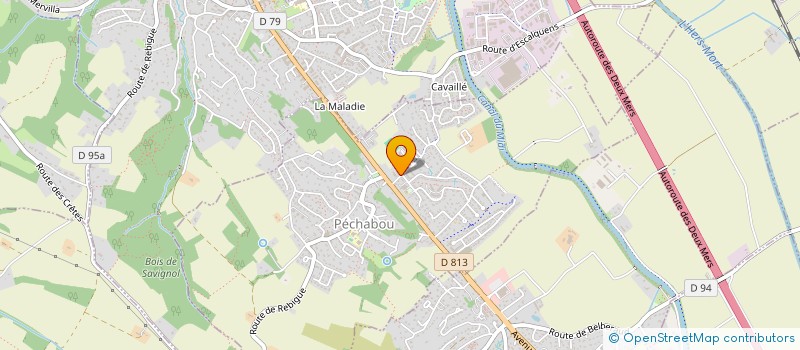 localisation de l'entreprise PISCINES PYRENEES TOULOUSE  PECHABOU