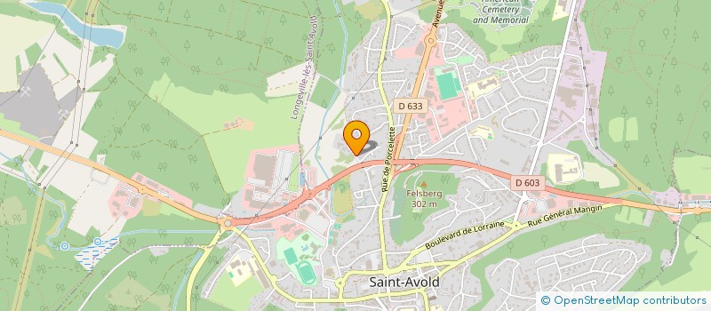 localisation de l'entreprise PIZZ'A LA BRAISE à SAINT-AVOLD