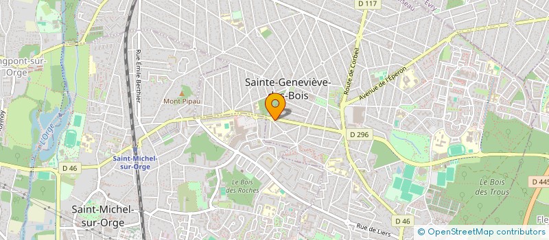 localisation de l'entreprise PIZZA DU DONJON à SAINTE-GENEVIEVE-DES-BOIS
