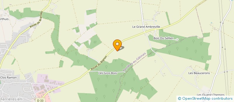 localisation de l'entreprise PIZZA LE LA  FERRIERES-EN-GATINAIS