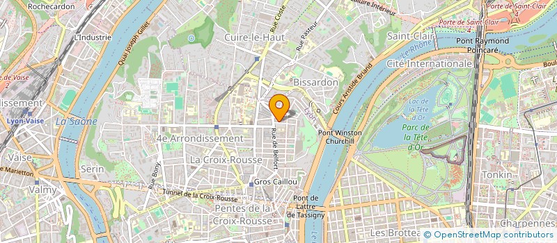 localisation de l'entreprise PIZZA PUCE à LYON 4EME
