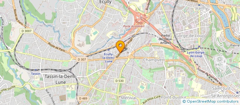 localisation de l'entreprise PIZZA PUCE TASSIN à TASSIN-LA-DEMI-LUNE