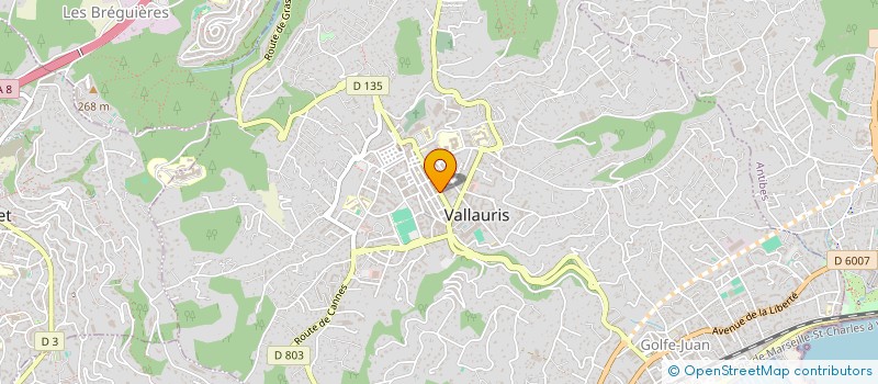 localisation de l'entreprise PIZZA STEF' à VALLAURIS