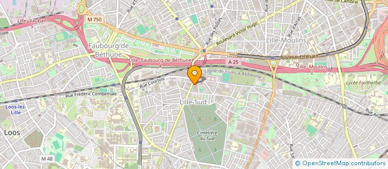 localisation de l'entreprise PIZZAS PLAZZA à LILLE