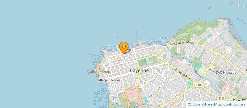 localisation de l'entreprise PIZZERIA SNACK BIGO'S  CAYENNE