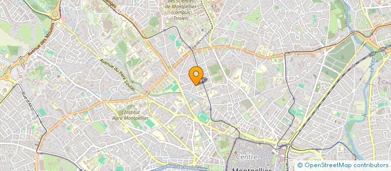 localisation de l'entreprise PIZZO- ADAM à MONTPELLIER