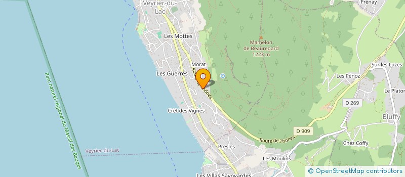 localisation de l'entreprise PJP INVESTISSEMENTS IMMO  VEYRIER-DU-LAC