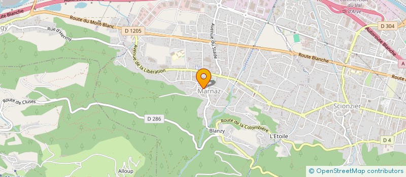 localisation de l'entreprise PL HOLDING à MARNAZ