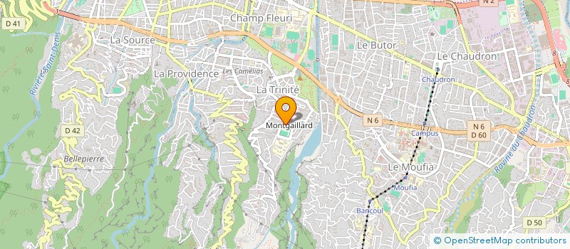 localisation de l'entreprise PLANTES ET FLEURS DE BOURBON à SAINT-DENIS