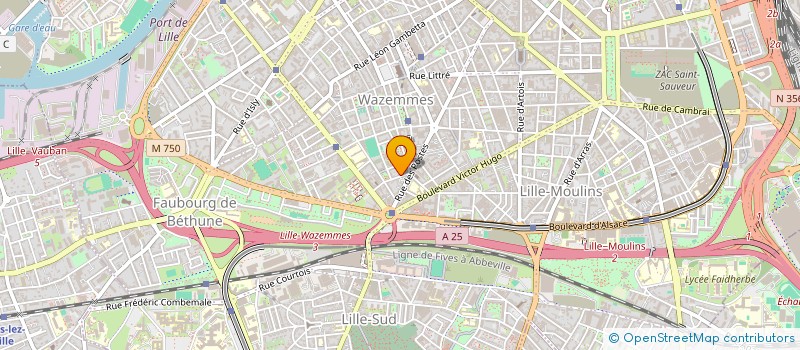 localisation de l'entreprise PLATINIUM à LILLE