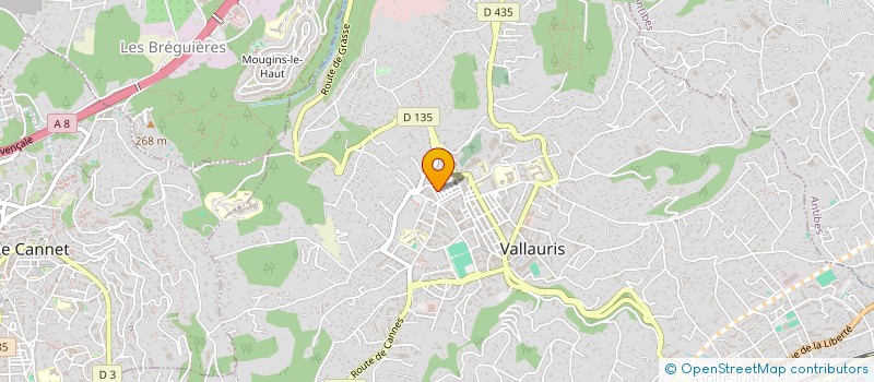 localisation de l'entreprise PLATINIUM DRIVER  VALLAURIS
