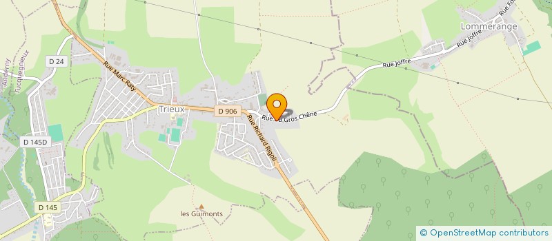 localisation de l'entreprise PLATZ RACING TEAM  TRIEUX