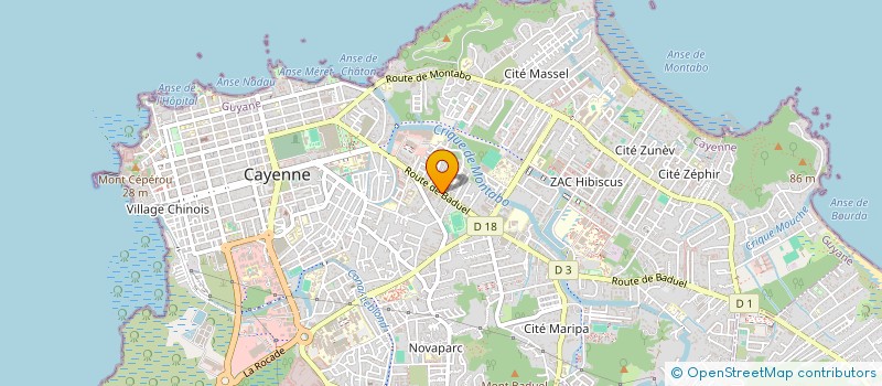 localisation de l'entreprise PLEIADE MANAGEMENT ET CONSEILS  CAYENNE