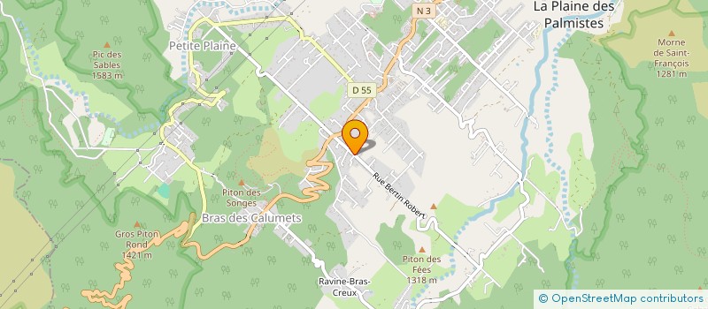 localisation de l'entreprise PLEIN HORIZON à LA PLAINE-DES-PALMISTES