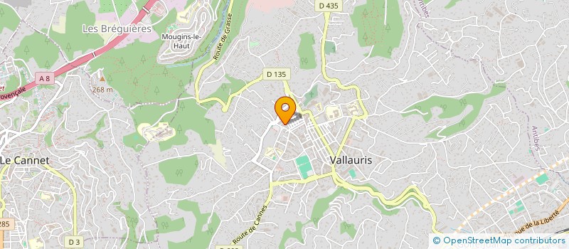 localisation de l'entreprise PLISSON-BOYKO  VALLAURIS