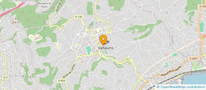 localisation de l'entreprise PLOMBERIE MEDITERRANEE à VALLAURIS