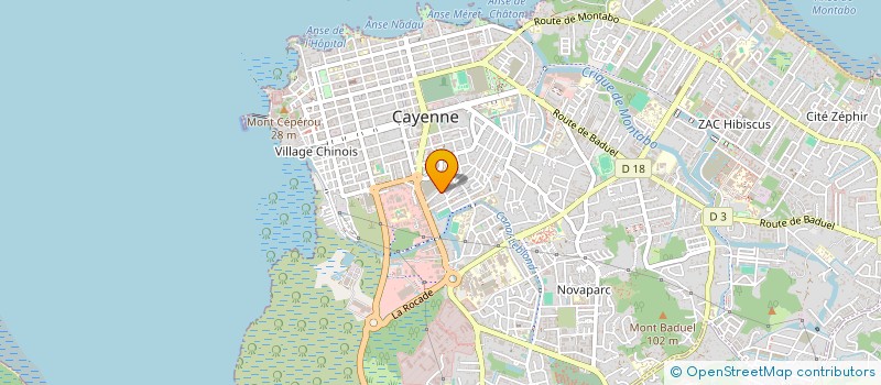 localisation de l'entreprise PLUG & PLAY 973 à CAYENNE