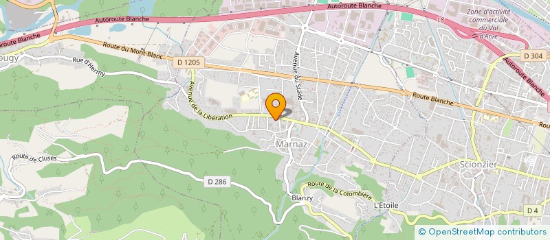 localisation de l'entreprise PLUG & PLAY PRODUCTION  REIGNIER-ESERY