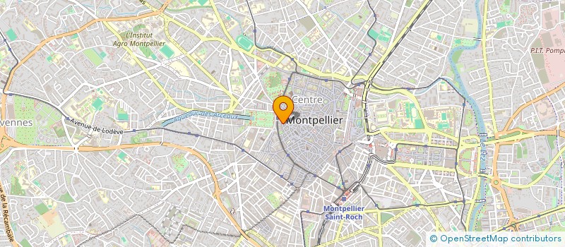 localisation de l'entreprise PLUME AND CO à MONTPELLIER