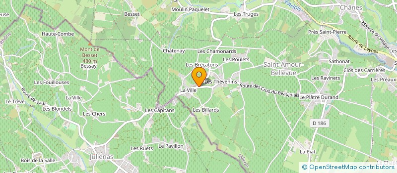 localisation de l'entreprise PLURI SANTE PRO  SAINT-AMOUR-BELLEVUE