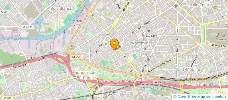 localisation de l'entreprise PLUSDEVIE à LILLE