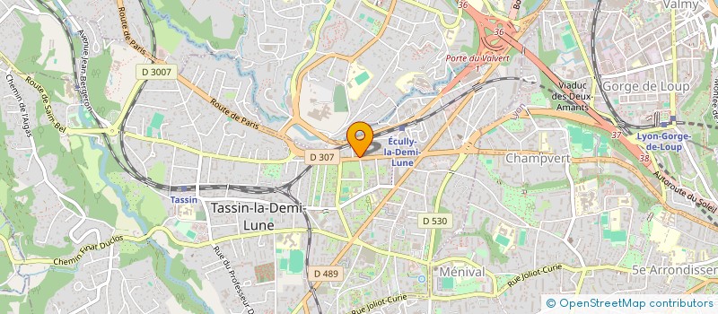 localisation de l'entreprise PM REALISATION à TASSIN-LA-DEMI-LUNE