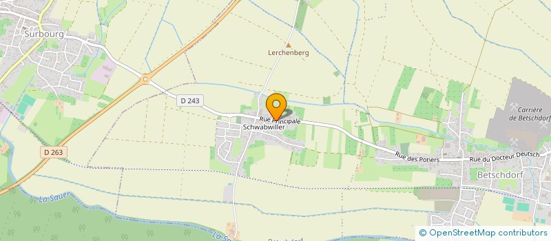 localisation de l'entreprise PMI PROJECT-MANAGEMENT-INTERNATIONAL  BETSCHDORF