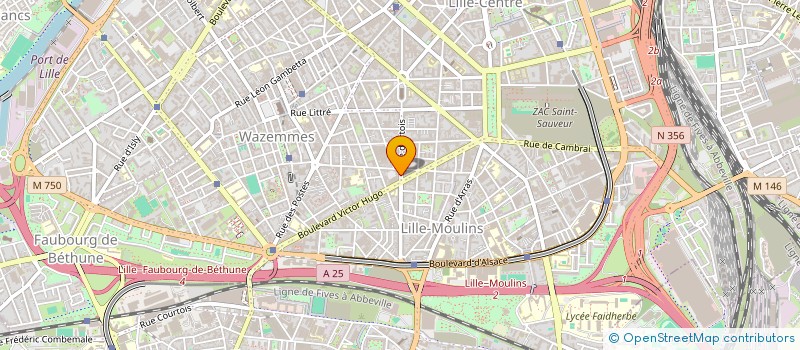 localisation de l'entreprise PMS IMMOBILIER  LILLE