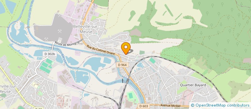 localisation de l'entreprise PNEUS SERVICES PLUS 55 à BELLEVILLE-SUR-MEUSE
