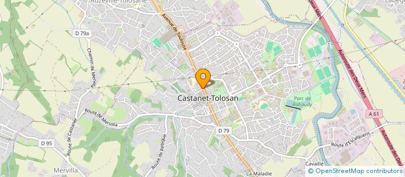 localisation de l'entreprise POIDS CHICS à CASTANET-TOLOSAN