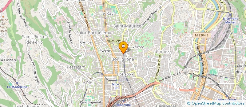 localisation de l'entreprise POISSONNERIE BORRIGLIONNE à NICE
