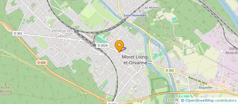 localisation de l'entreprise POLLY LE THERAPEUTE ET SA BANDE DE COPAIN  MORET-LOING-ET-ORVANNE