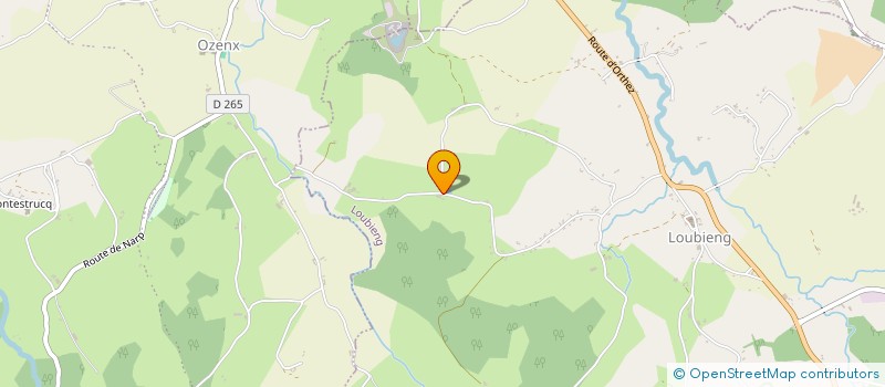 localisation de l'entreprise POLY JARDI SERVICES  LOUBIENG