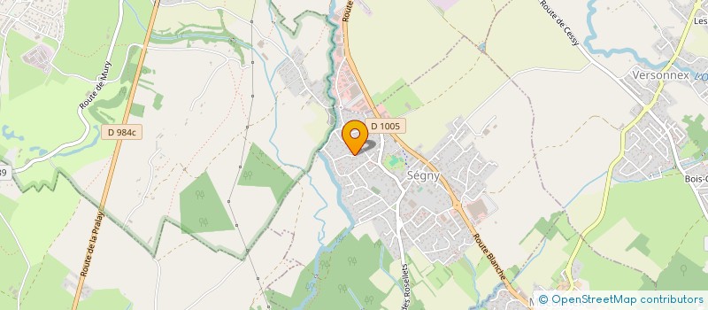 localisation de l'entreprise POLYGLOTTE  SEGNY