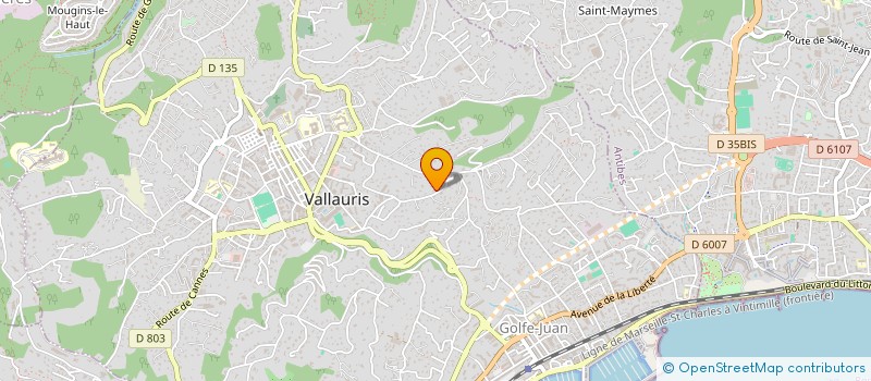 localisation de l'entreprise PONKE  VALLAURIS