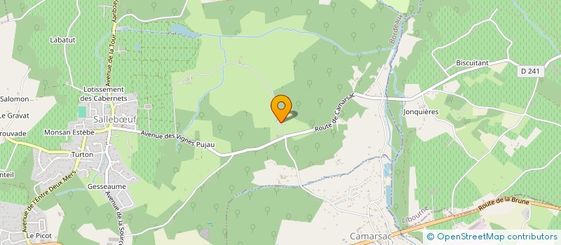 localisation de l'entreprise PONTAC - LES MANDINS  SALLEBUF