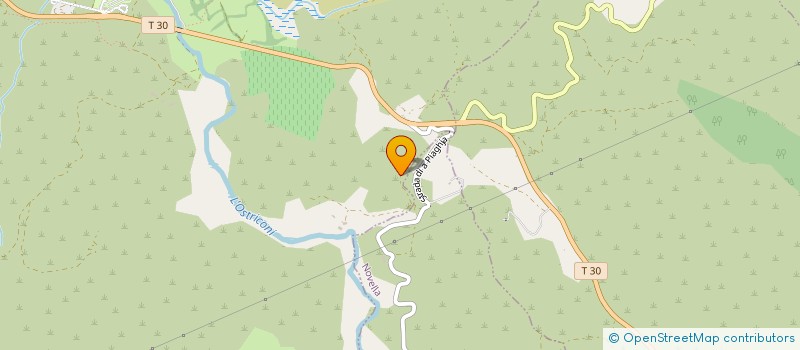 localisation de l'entreprise POOL AND SPA SERVICES  PALASCA