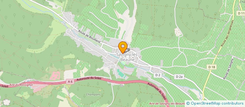 localisation de l'entreprise PPSM  SAVIGNY-LES-BEAUNE