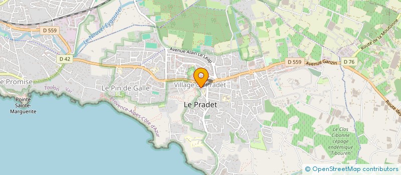 localisation de l'entreprise PRADIS  BORMES-LES-MIMOSAS